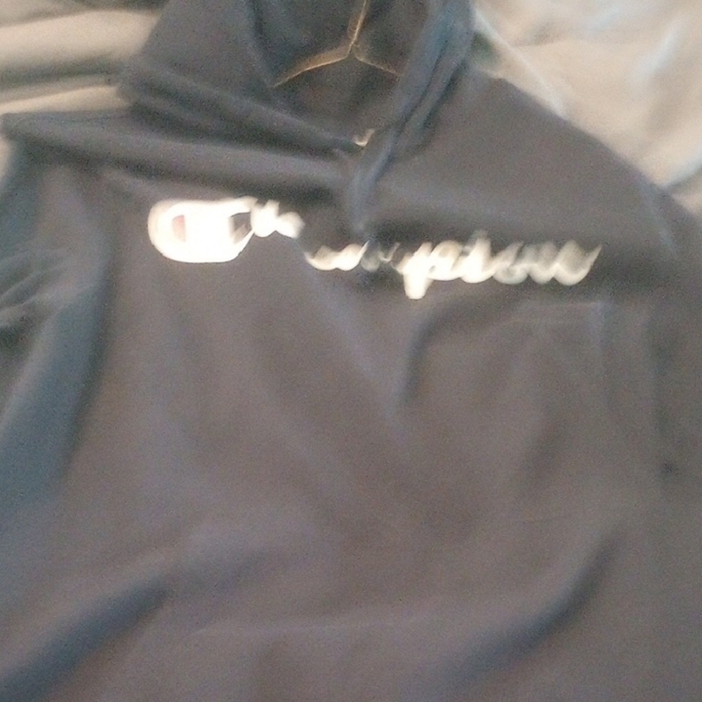 Champion Navy Hoodie Mens Small NWOT
